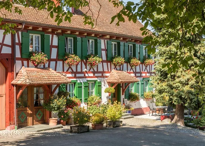 Risthof 1 Apartment Owingen